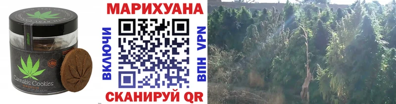 Еда ТГК марихуана  маркетплейс состав  Шахунья 