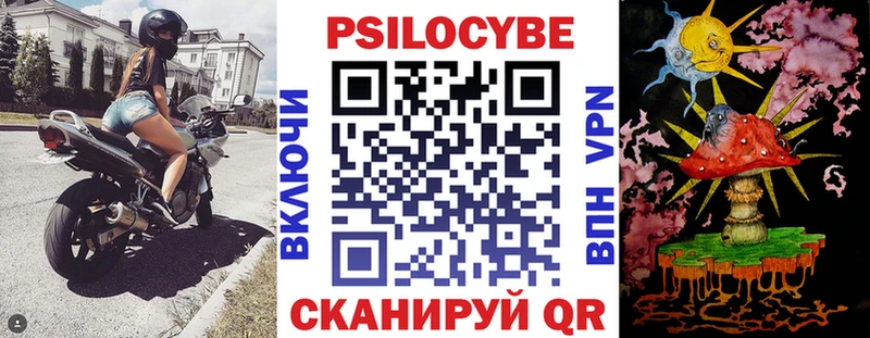Псилоцибиновые грибы Cubensis  MEGA как зайти  Шахунья  хочу  
